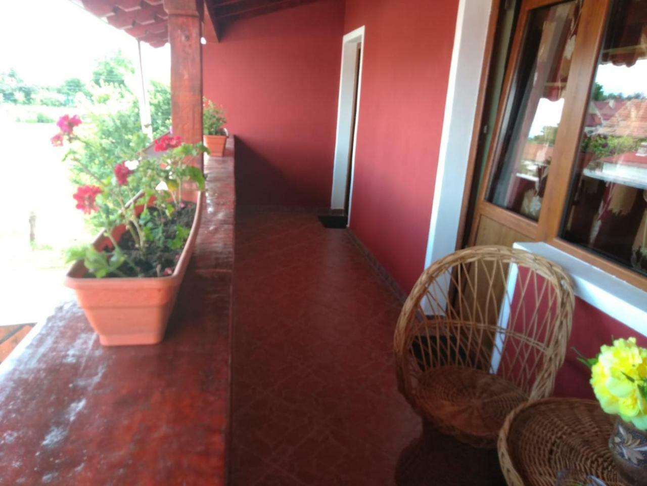Appartamento Casa Suzy & Roxy Arpasu de Jos Esterno foto