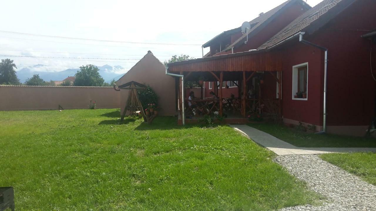 Appartamento Casa Suzy & Roxy Arpasu de Jos Esterno foto