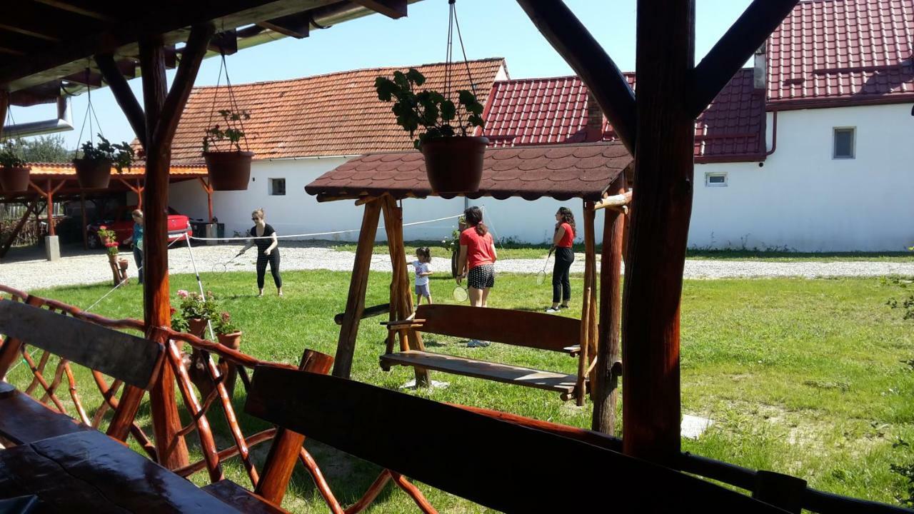 Appartamento Casa Suzy & Roxy Arpasu de Jos Esterno foto