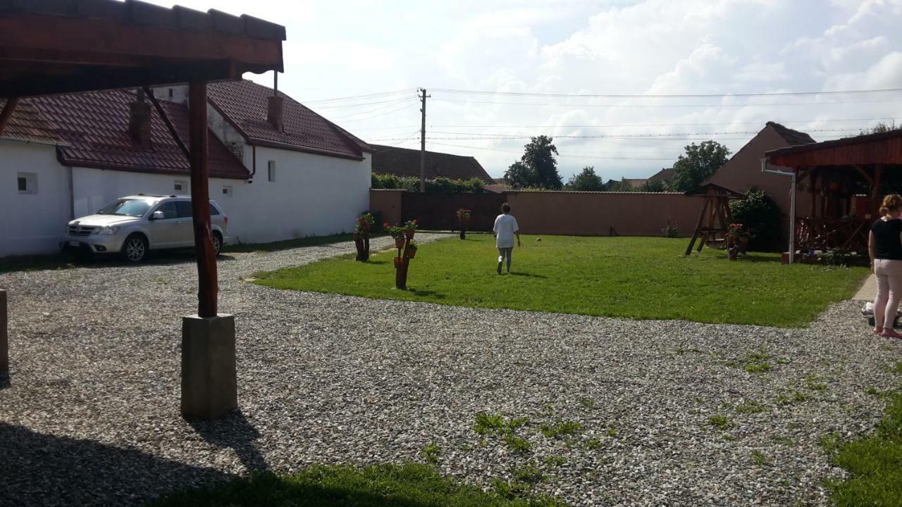 Appartamento Casa Suzy & Roxy Arpasu de Jos Esterno foto
